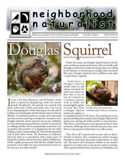Squirrel Douglas' By Don Boucher Photography By Lisa Millbank