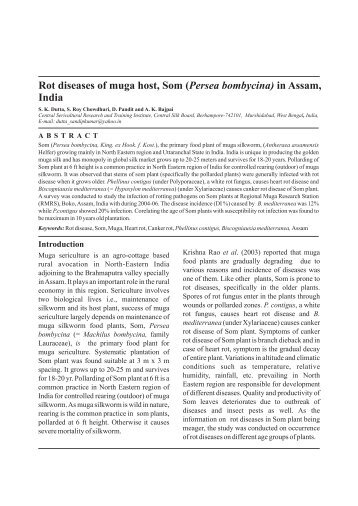 11 Rot diseases of muga host, Som.cdr