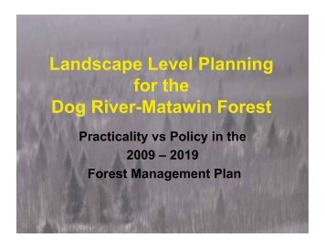 Landscape Level Planning for the Dog River-Matawin Forest