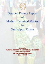 Detailed Project Report of Modern Terminal Market in ... - NIAM
