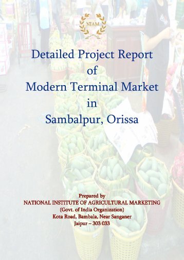 Detailed Project Report of Modern Terminal Market in ... - NIAM