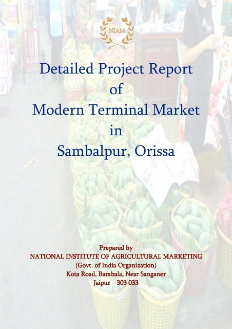 Detailed Project Report of Modern Terminal Market in ... - NIAM