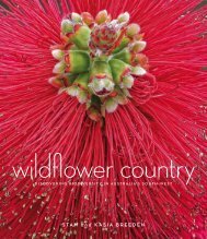 Wildflower Country - Fremantle Press