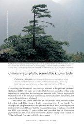 Cathaya argyrophylla - International Dendrology Society