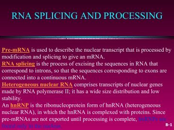 RNA SPLICING AND PROCESSING