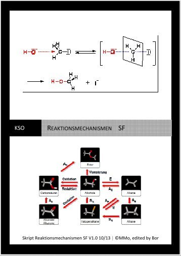 REAKTIONSMECHANISMEN SF