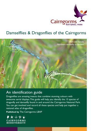Damselflies & Dragonflies of the Cairngorms - British Dragonfly ...