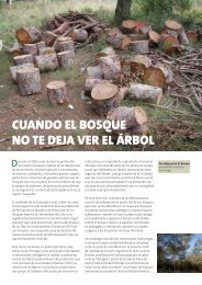 cuando el bosque no te deja ver el Ã¡rbol - FundaciÃ³n ProYungas