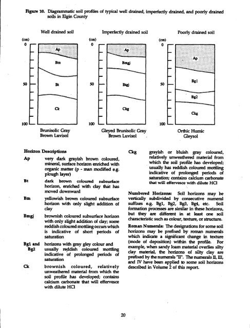 The Soils of Elgin County - Agriculture and Agri-Food Canada