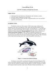 1 General Biology II Lab Lab #10: Circulatory & Respiratory Systems