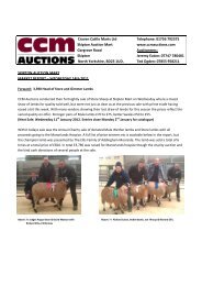 Craven Cattle Marts Ltd Telephone: 01756 792375 ... - Auction Mart