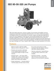 ISO 80-50-320 Jet Pumps PDF - Godwin Pumps