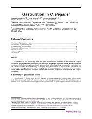 Gastrulation in C. elegans* - WormBook