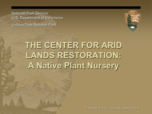 THE CENTER FOR ARID LANDS RESTORATION - Desert ...