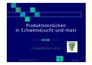 ProduktionslÃ¼cken in Schweinezucht und-mast - pig-portal.de