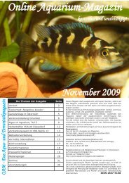 OAM Ausgabe November 2009 - Online Aquarium-Magazin