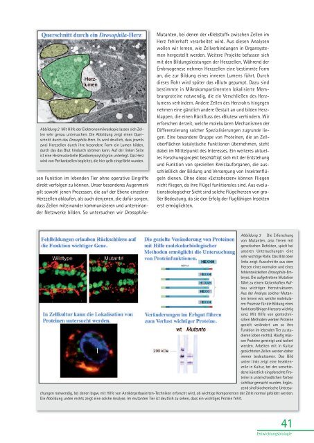 AG Botanik - Fachbereich 5 Biologie - Universität Osnabrück