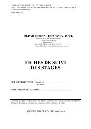 FICHES DE SUIVI DES STAGES - IUT Bayonne - UniversitÃ© de Pau ...