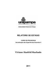 Viviane Hasfeld Machado - UNIPAMPA Cursos