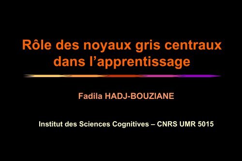 Apprentissage - Institut des Sciences cognitives - CNRS