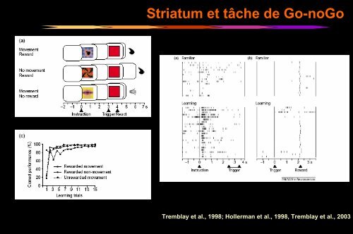 Apprentissage - Institut des Sciences cognitives - CNRS