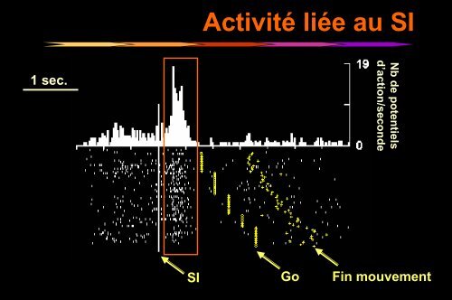 Apprentissage - Institut des Sciences cognitives - CNRS