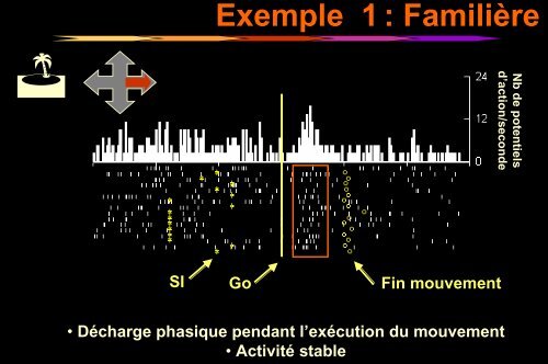 Apprentissage - Institut des Sciences cognitives - CNRS