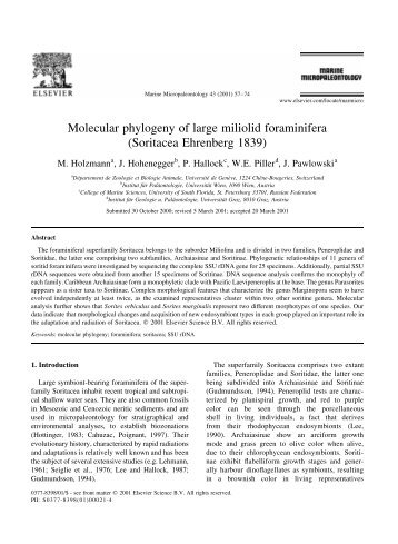 Molecular phylogeny of large miliolid foraminifera - University of ...