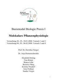 Basismodul Biologie Praxis I Molekulare Pflanzenphysiologie