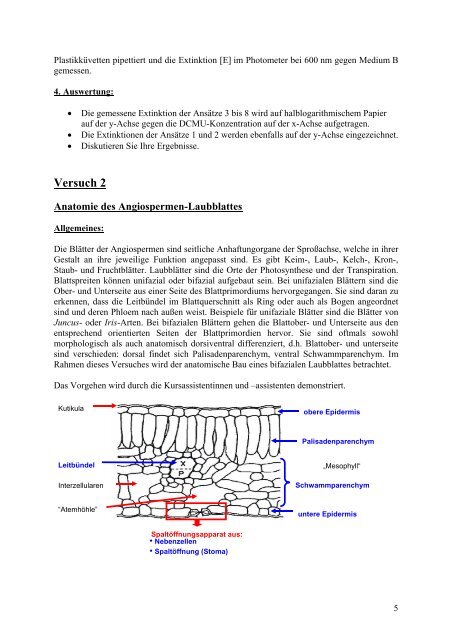 Basismodul Biologie Praxis I Molekulare Pflanzenphysiologie