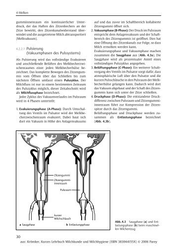 4.2.2.1 Pulsierung (Vakuumphasen des Pulssystems)