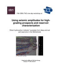 Using seismic amplitudes for high- grading prospects and reservoir ...