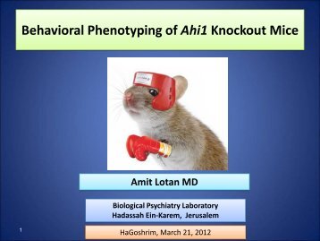 Behavioral Phenotyping of Ahi1 Knockout Mice