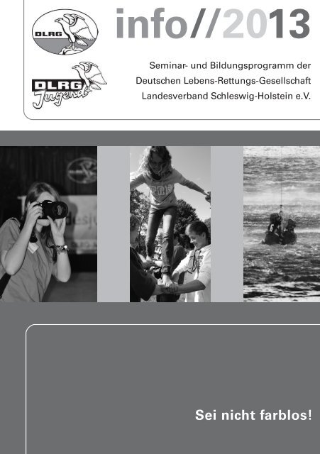 Als Pdf Download Dlrg Landesverband Schleswig Holstein
