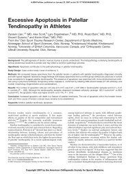 Excessive Apoptosis in Patellar Tendinopathy in Athletes