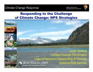 National Park Service Strategies - Leigh Welling