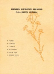 herbarium universitatis hispalensis - Biblioteca digital del Real ...