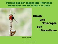 Neue Wege in Diagnostik und Therapie der chronischen Borreliose