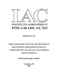 dissertaÃ§Ã£o torta-de-filtro aplicada em argissolo e seus efeitos ... - IAC
