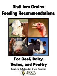 Distillers Grains Feeding Recommendations. - Distillers Grains By ...