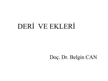 Deri ve Ekleri