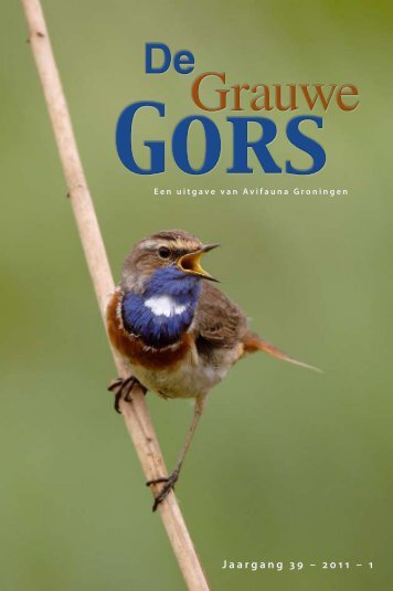 download hier dit nummer van de Grauwe Gors - Avifauna Groningen