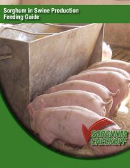 Sorghum in Swine Production Feeding Guide - Sorghum Checkoff