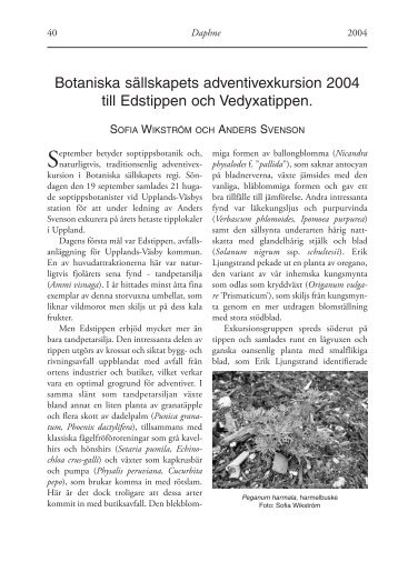 Botaniska sÃ¤llskapets adventivexkursion 2004 till Edstippen och ...