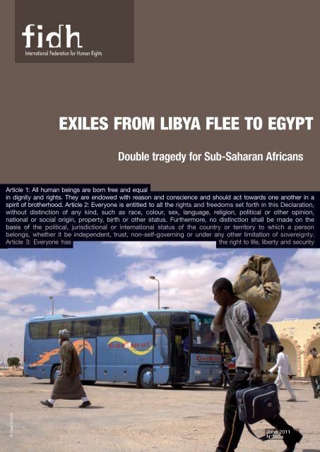 FIDH Report: Exiles from Libya flee to Egypt