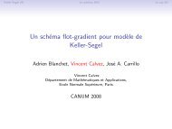 Un schÃ©ma flot-gradient pour modÃ¨le de Keller-Segel - SMAI