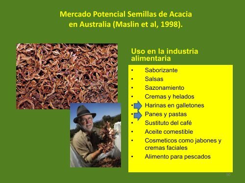 Acacia saligna - Infor