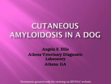 Cutaneous amyloidosis in a dog