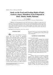 Study on the Food and Feeding Habit of Palri, Gudusia ... - Zsp.com.pk