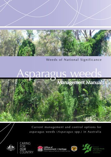 Asparagus weeds - Weeds Australia
